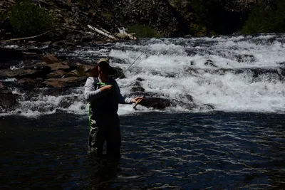 DSC_9935 (Large).JPG